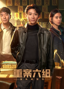 重案六组：消失的警号影视封面