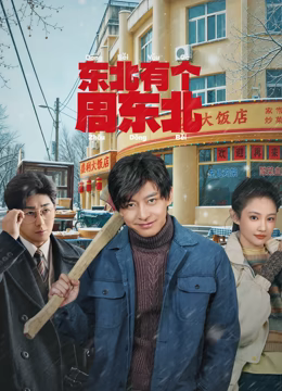 东北有个周东北影视封面